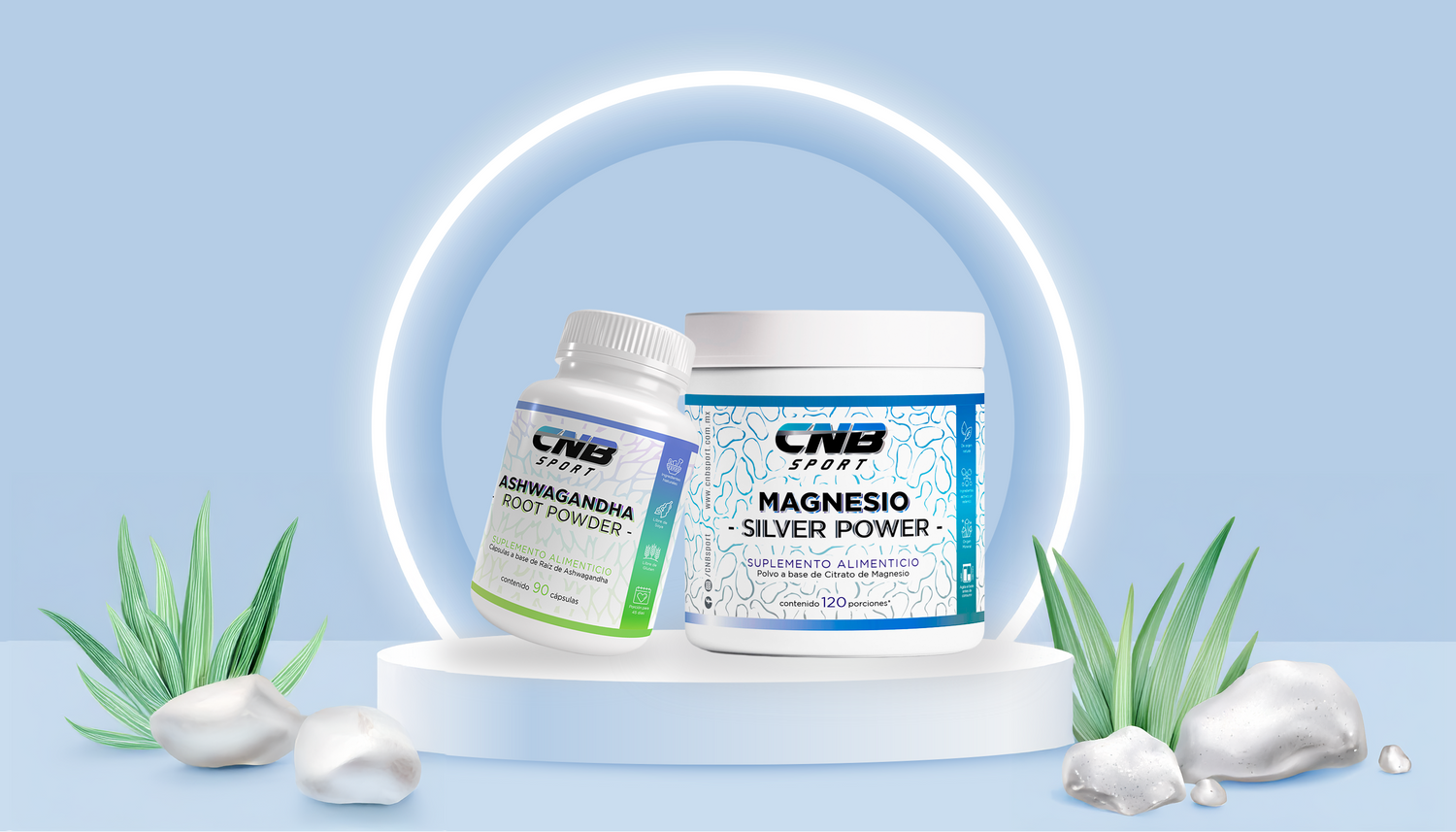 BIENESTAR: Equilibrio para tu día a día